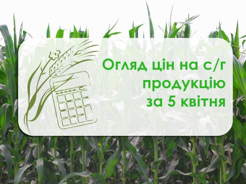 Огляд цін на с/г продукцію станом на 5 квітня