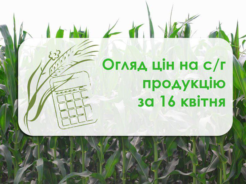 Огляд цін на с/г продукцію станом на 16 квітня