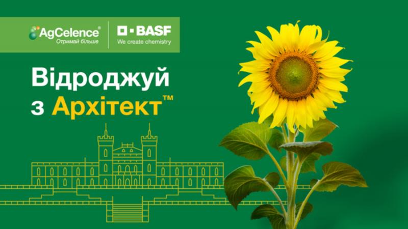 З кожного проданого літру Архітект™ компанія BASF перерахує кошти на реставрацію пам’ятки архітектури