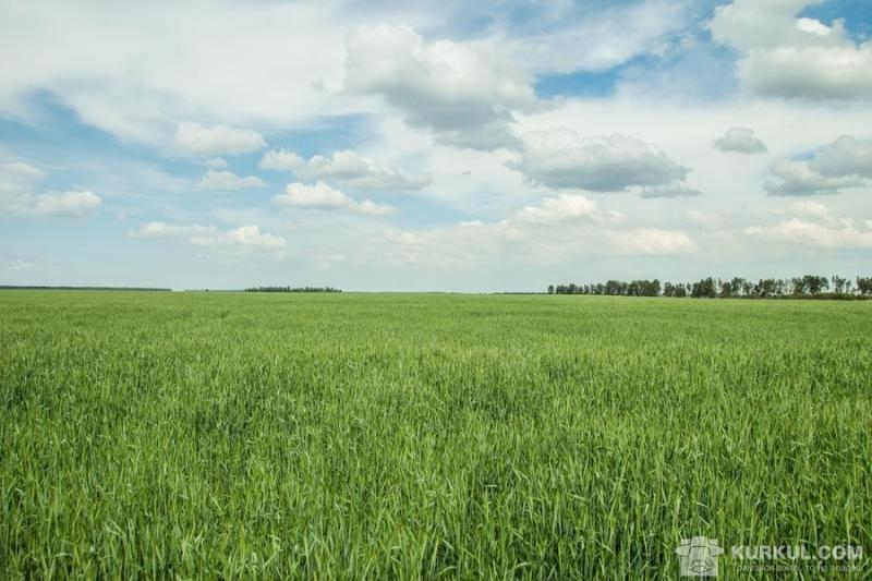 Мораторій на землю сільськогосподарського призначення порушує Європейську конвенцію з прав людини