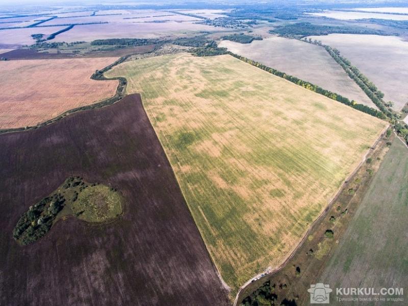 Передача сільськогосподарських земель у комунальну власність