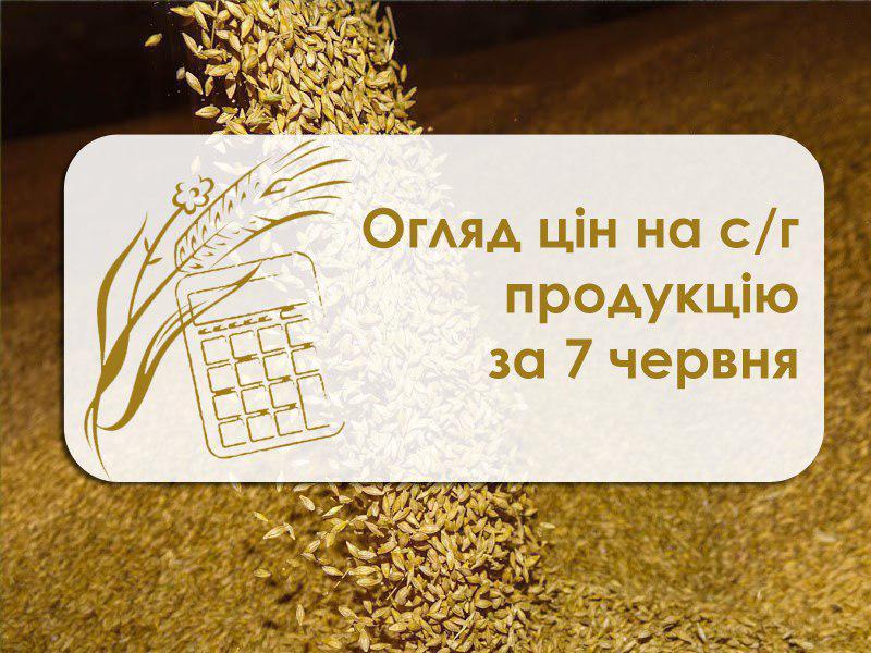 Огляд цін на с/г продукцію станом на 7 червня