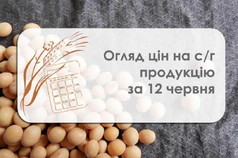 Огляд цін на с/г продукцію станом на 12 червня