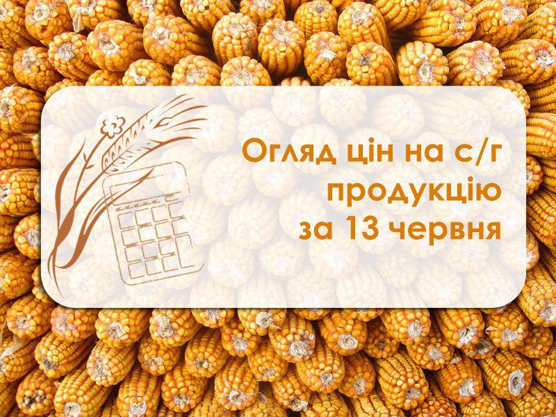 Огляд ціна на с/г продукція станом на 13 червня