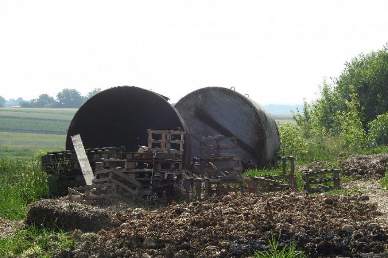 Сморід капусти у Волинській області