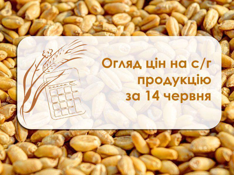 Огляд цін на с/г продукцію станом на 14 червня