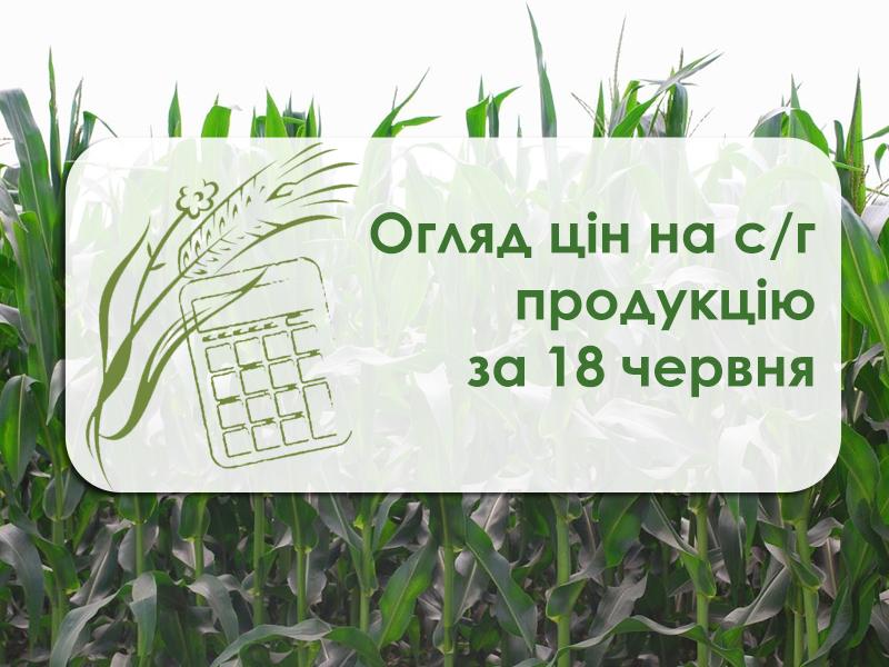 Огляд цін на с/г продукцію за 18 червня 