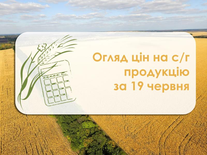 Огляд цін на с/г продукцію за 19 червня 