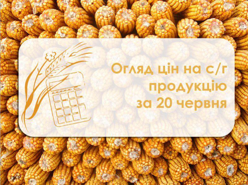 Огляд цін на с/г продукцію станом на 20 червня