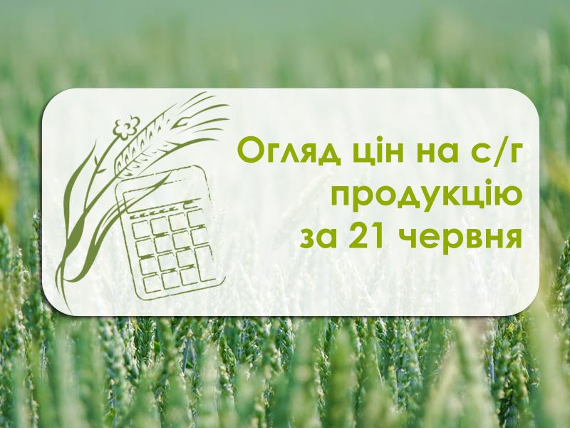 Огляд цін на с/г продукцію станом на 20 червня