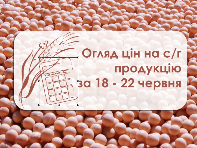 Огляд цін на с/г культури за період з 18 по 22 червня 