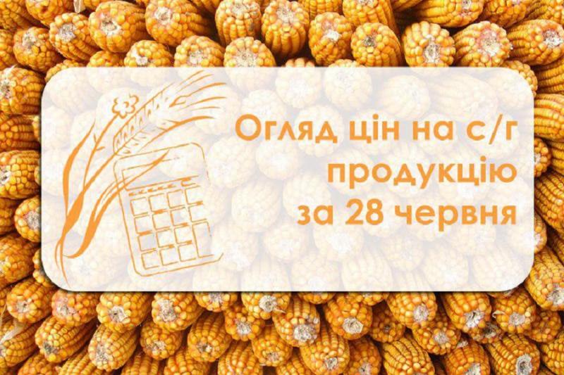 Огляд цін на с/г продукцію станом на 28 