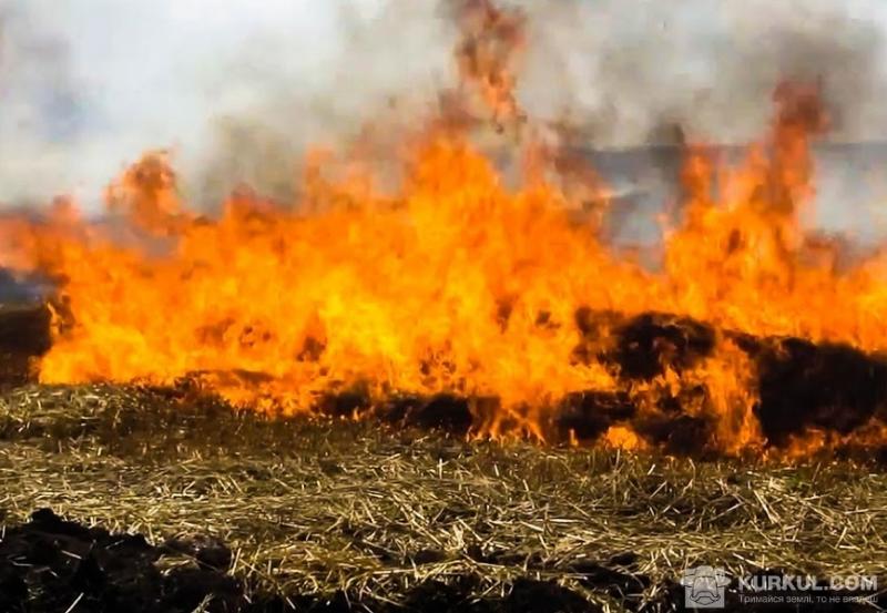 Пожежа на полі