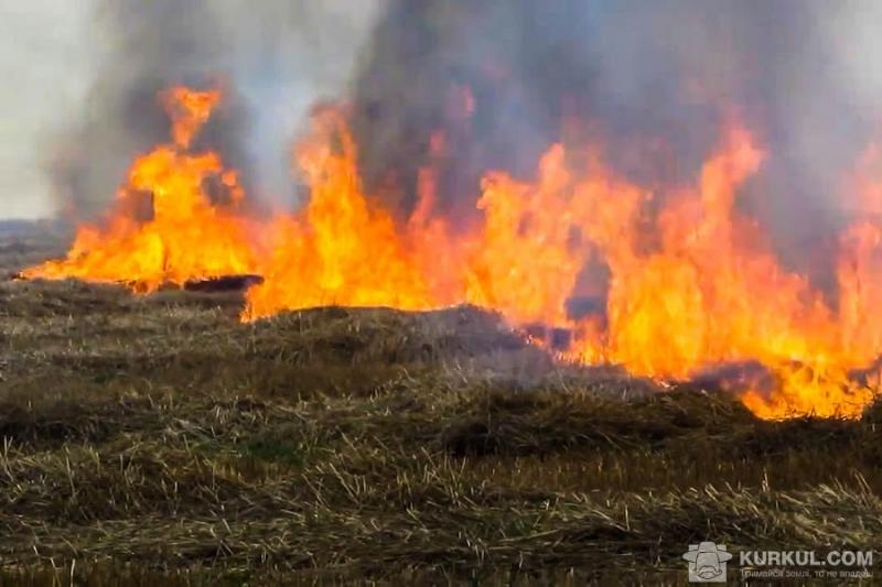 Підпал стерні