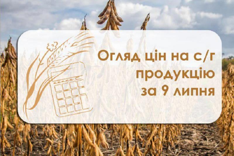 Огляд цін на с/г продукцію станом на 9 липня