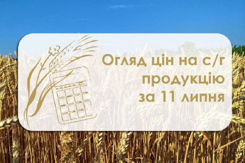 Огляд цін на с/г продукцію станом на 11 липня