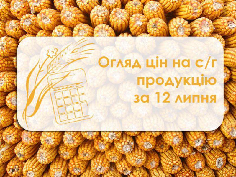 Огляд цін на с/г продукцію за 12 липня