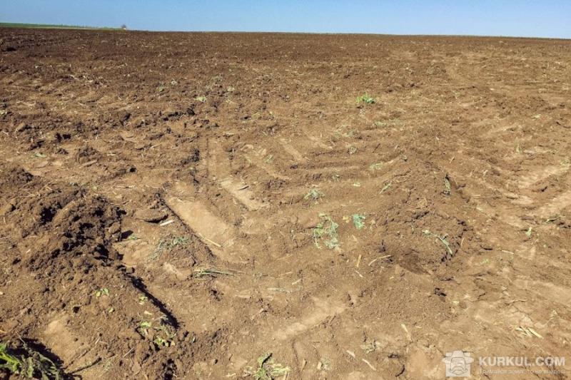 Фермера засудили за самовільне заняття 24 земельних ділянок