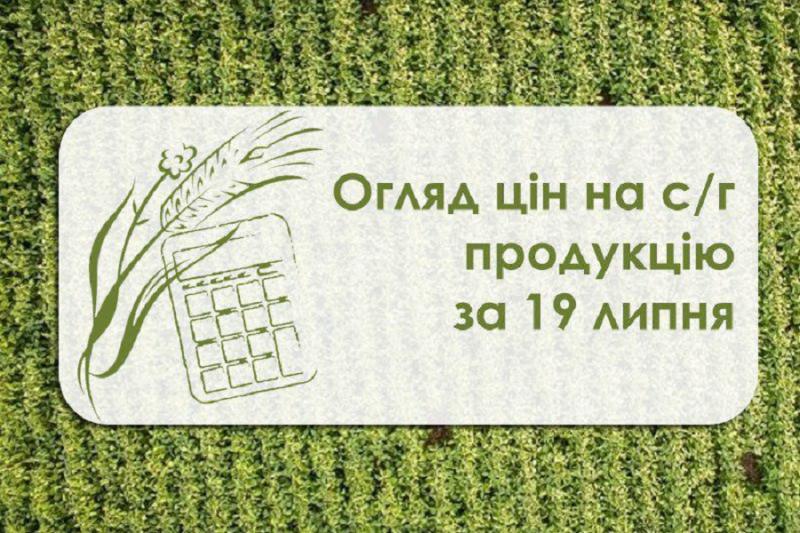 Огляд цін на с/г продукцію станом на 19 липня