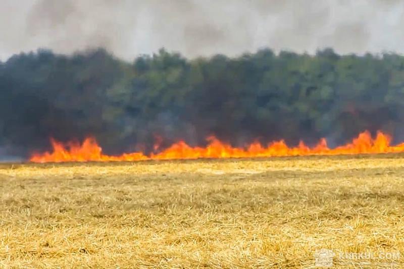 Пожежа на полі