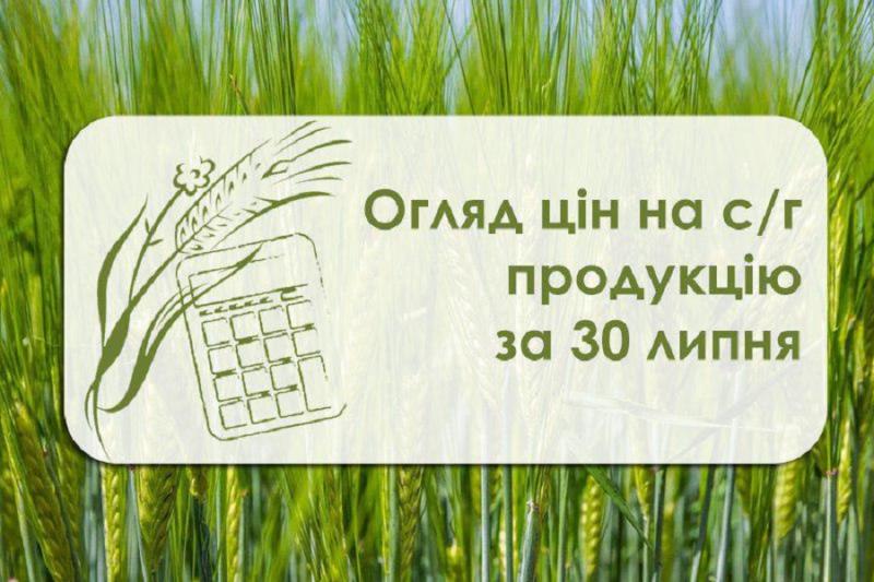 Огляд цін на с/г продукцію станом на 30 липня