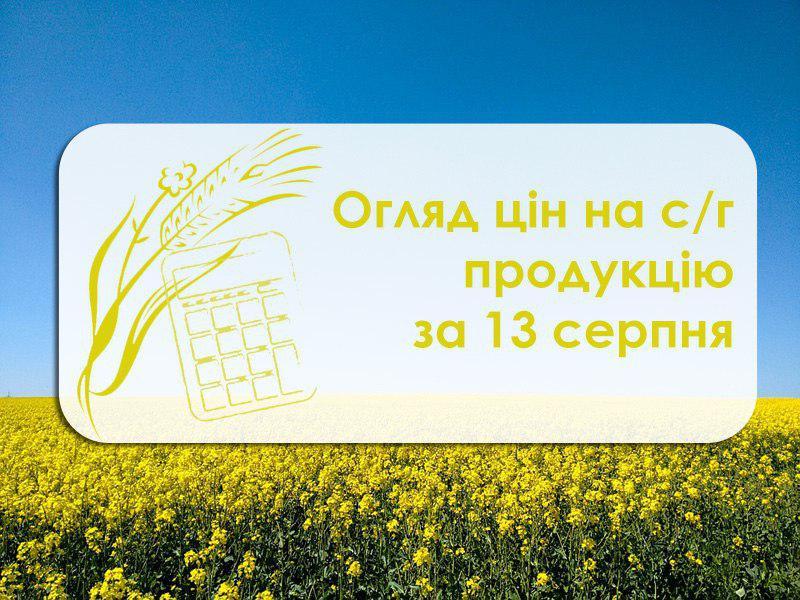 Огляд цін на с/г продукцію за 13 серпня