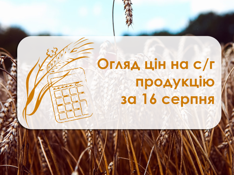 Огляд цін на с/г продукція станом на 16 серпаня