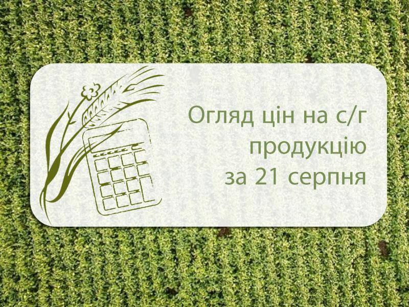 Огляд цін на с/г продукцію станом на 21 серпня