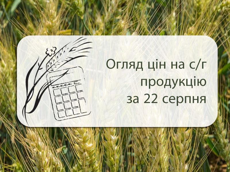 Огляд цін на с/г продукцію станом на 22 серпня