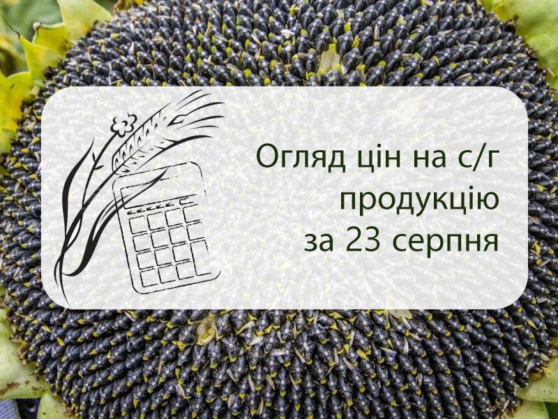 Огляд цін на с/г продукцію станом на 23 серпня