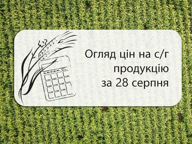 Огляд цін на с/г продукція станом на 28 серпня