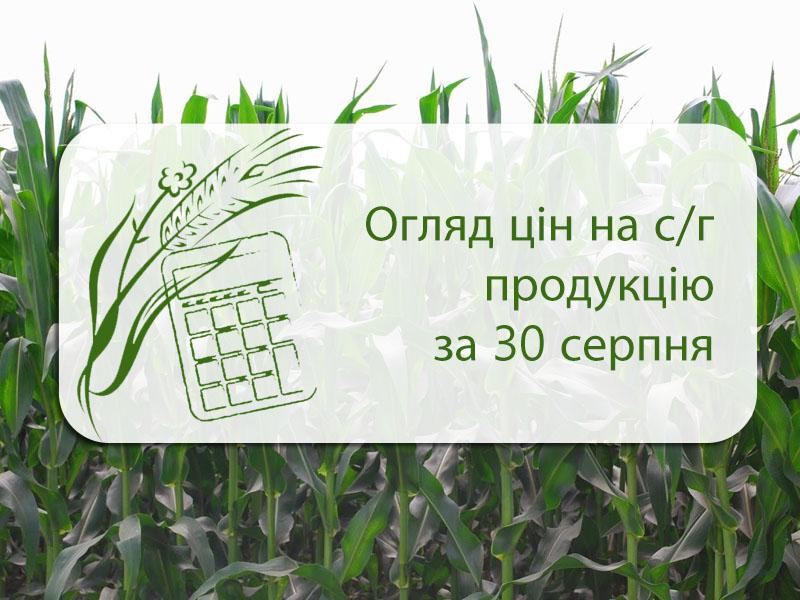 Огляд цін на с/г продукцію станом на 30 серпня