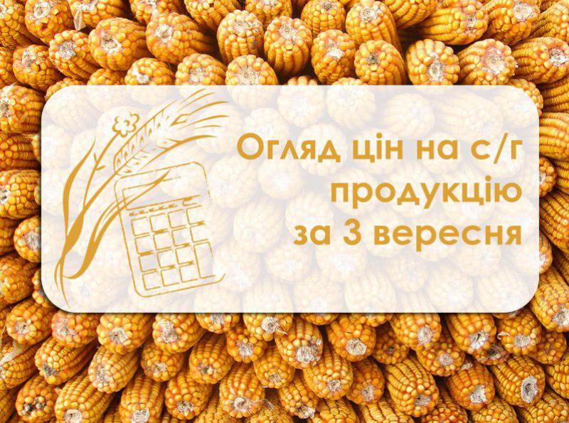 Огляд цін на с/г продукція станом на 3 вересня