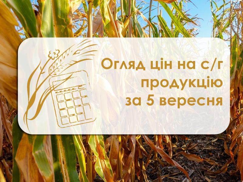 Огляд цін на с/г продукцію за 5 вересня