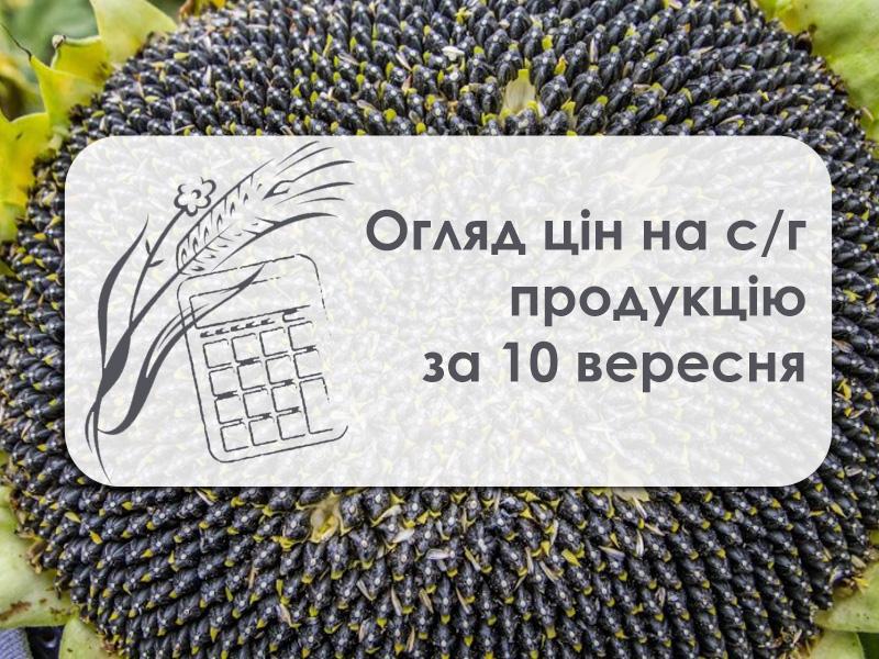 Огляд цін на с/г продукцію за 10 вересня