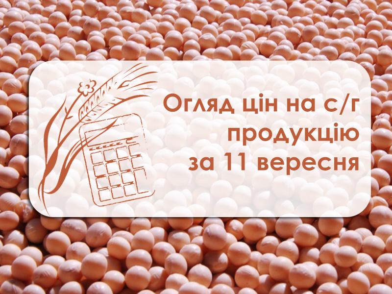 Огляд цін на с/г продукцію за 11 вересня