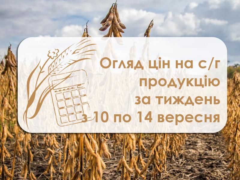 Огляд цін на с/г культури за тиждень з 10 по 14 вересня