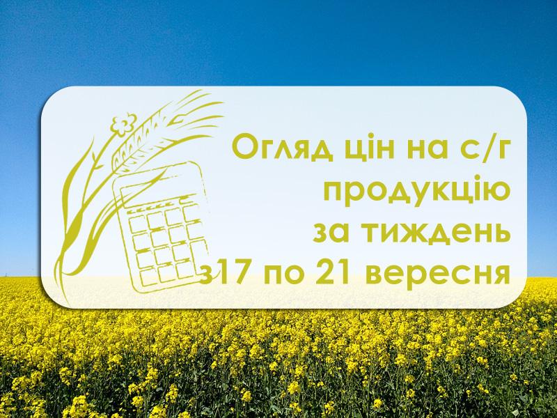 Огляд цін на с/г продукцію за тиждень з 17 по 21 вересня