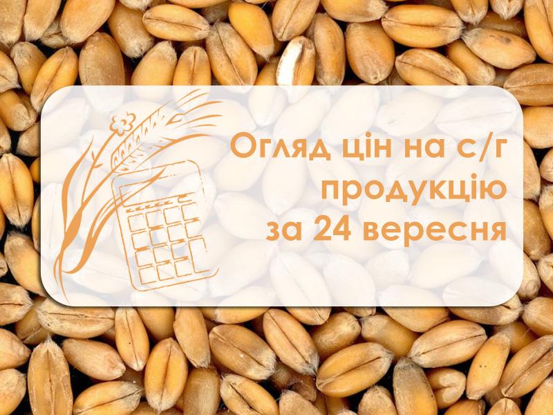 Огляд цін на с/г продукцію за 24 вересня 