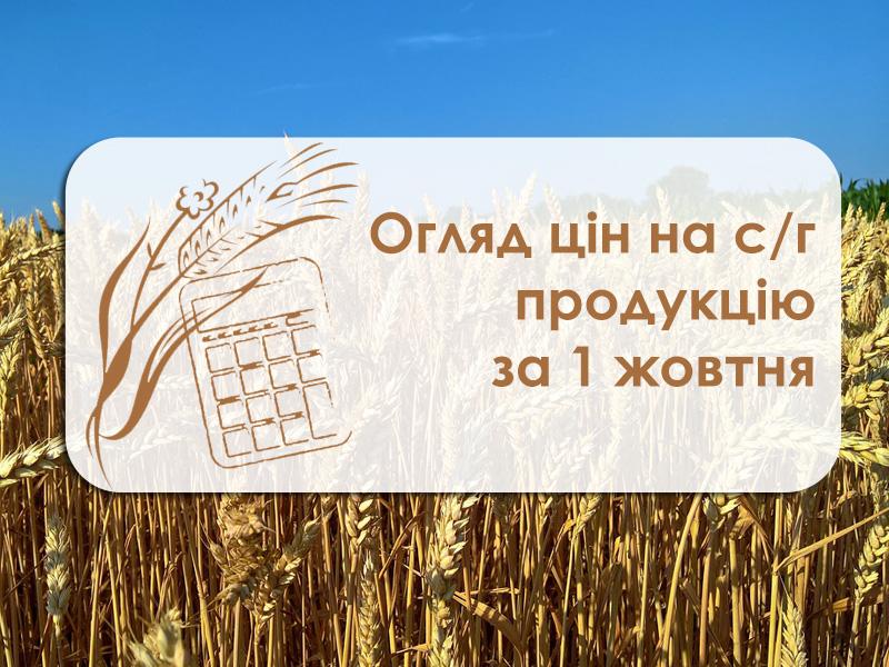 Огляд цін на с/г продукцію за 1 жовтня