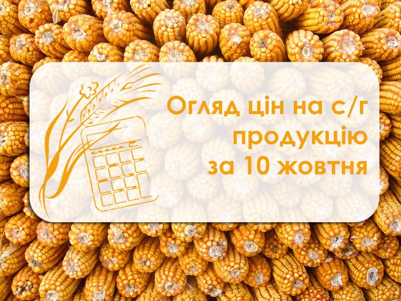 Огляд цін на с/г продукцію за 10 жовтня