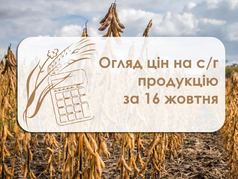 Вартість сої знизилася — огляд ціна на с/г культури за 16 жовтня 