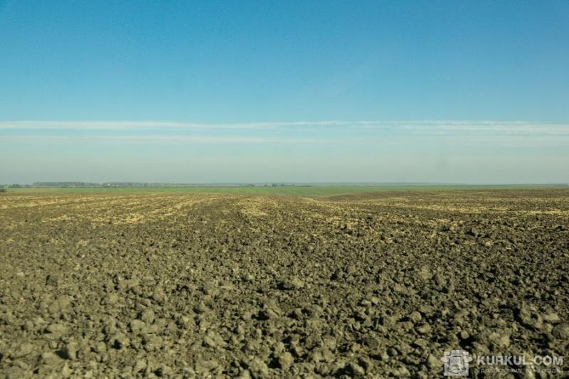 Конституційний Суд не може зняти земельний мораторій через політику