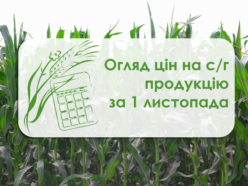 Зернові подешевшали у порту Миколаївщини — огляд цін на с/г продукцію за 1 листопада 