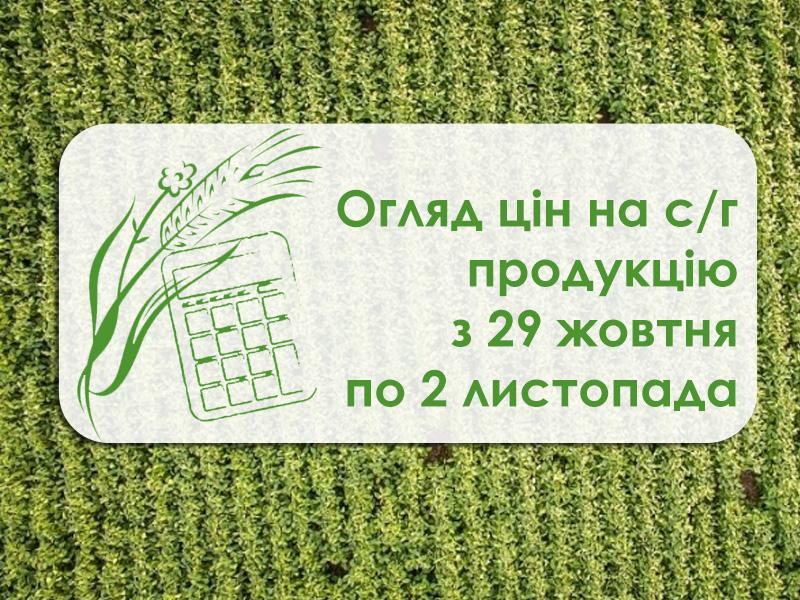 Зміна вартості пшениці, кукурудзи, соняшнику та інших за тиждень — огляд цін з 29 жовтня по 2 листопада 