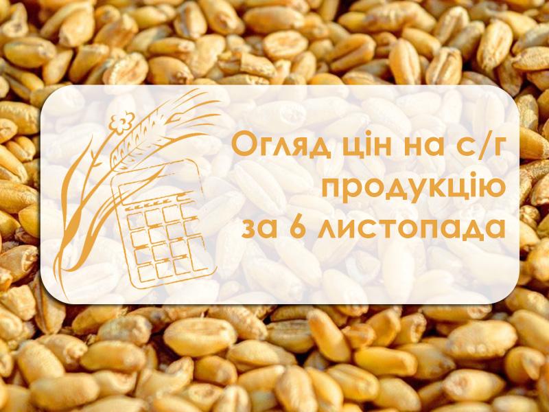 Вартість зернових збільшилася — огляд цін на с/г продукцію за 6 листопада