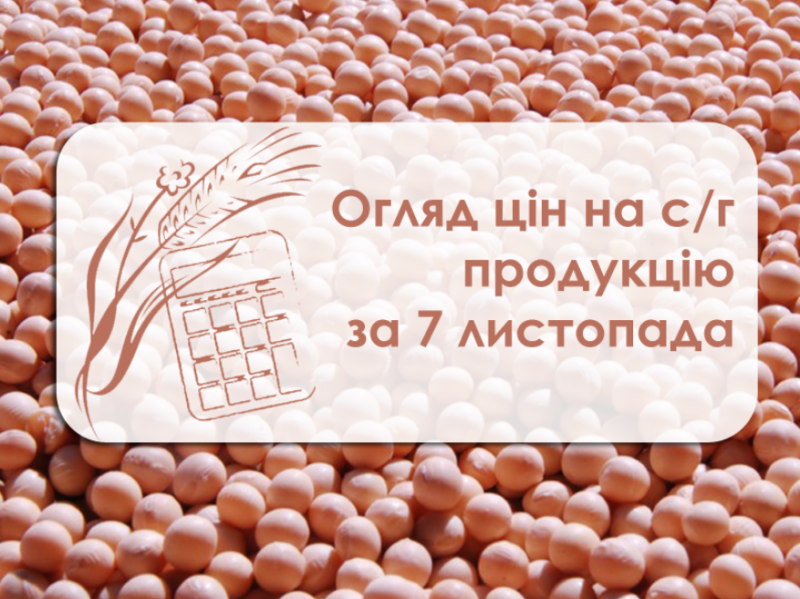 Ціни на зернові знизилися ― огляд цін на с/г культури за 7 листопада 