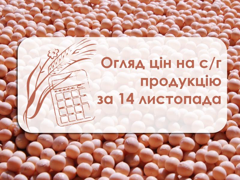 Вартість олійних нестабільна — огляд цін на с/г продукцію за 15 листопада 