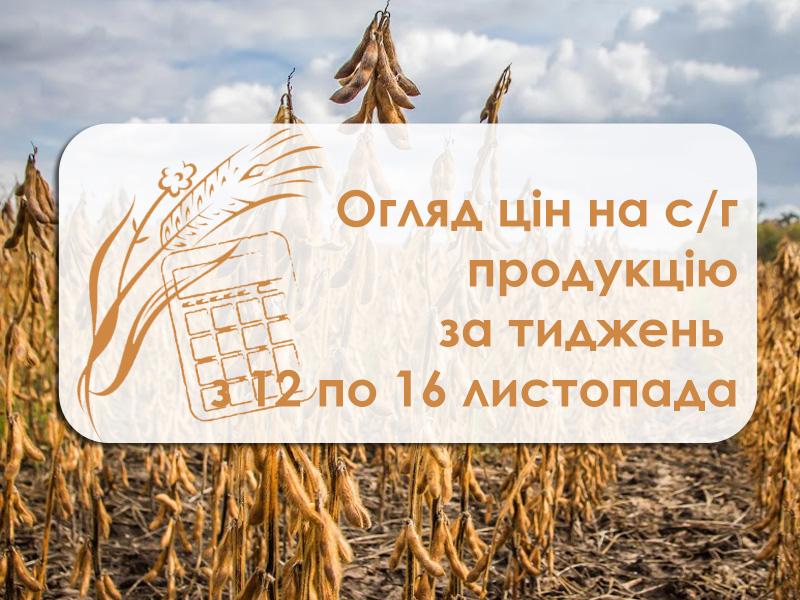 Як змінилися ціни на зернові та олійні за тиждень — огляд за 12 – 16 листопада 