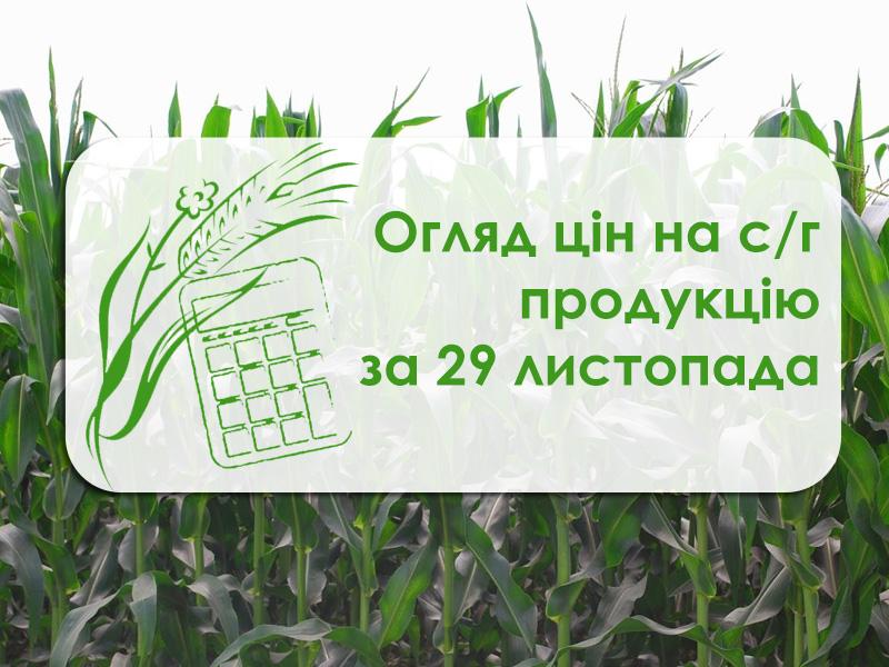 Вартість зернових та олійних стабілізувалася — огляд цін на с/г продукцію за 29 листопада 